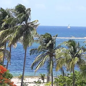 vue-sur-ocean-plage-a-2-minutes-a-pied.comcaribbean.com/