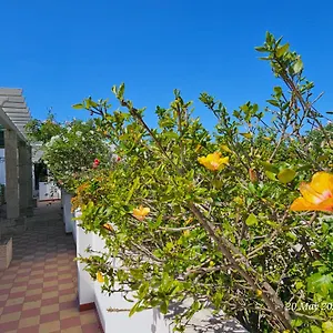 Blife Salinya Private At N125 Olhão